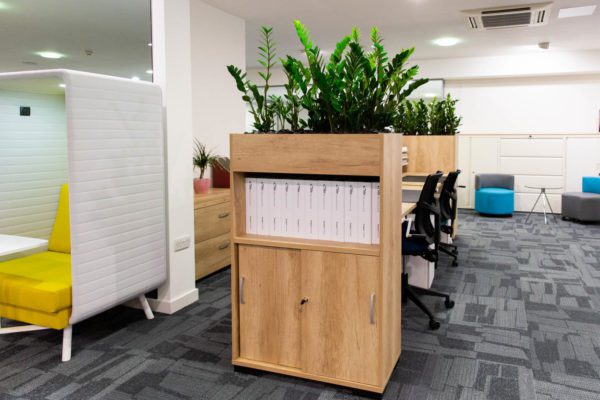 office storage with green plants 